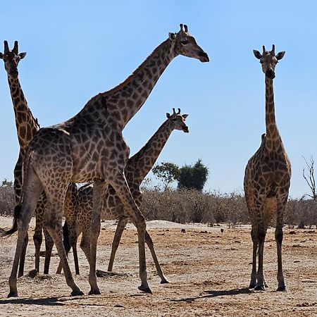 Xhabe Safari Lodge Chobe Muchenje Εξωτερικό φωτογραφία