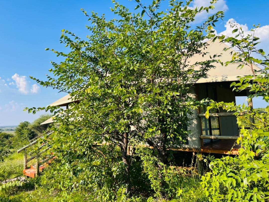 Xhabe Safari Lodge Chobe Muchenje Εξωτερικό φωτογραφία