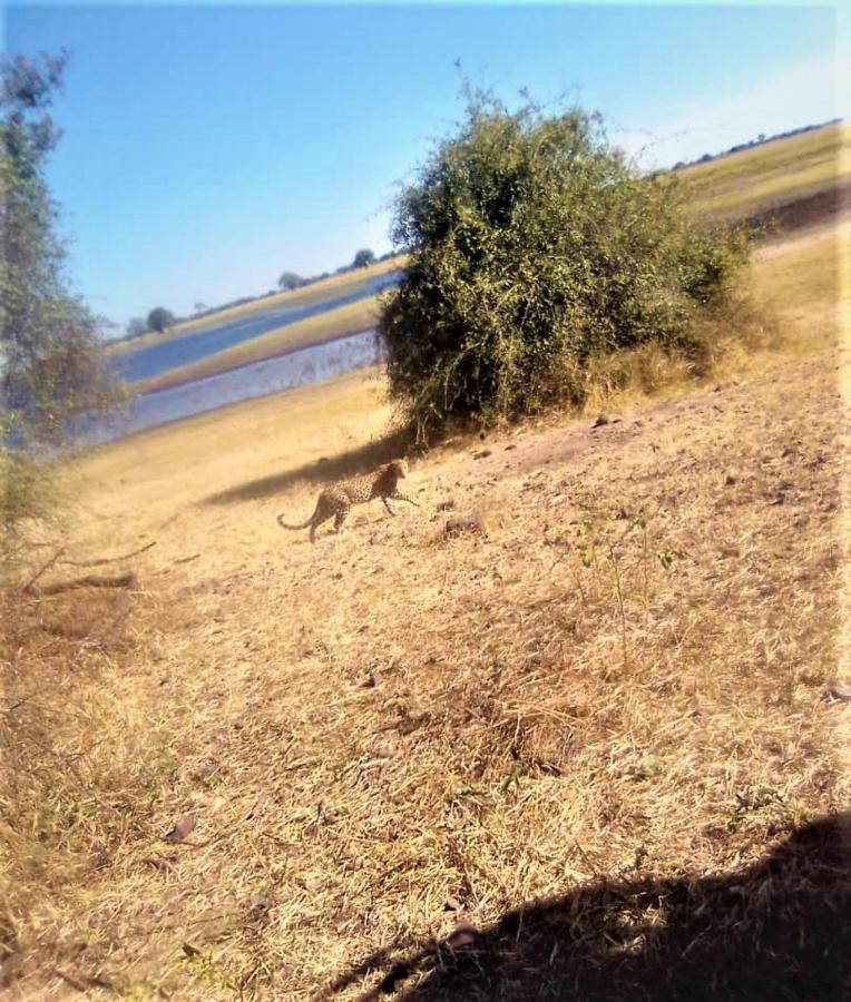Xhabe Safari Lodge Chobe Muchenje Εξωτερικό φωτογραφία