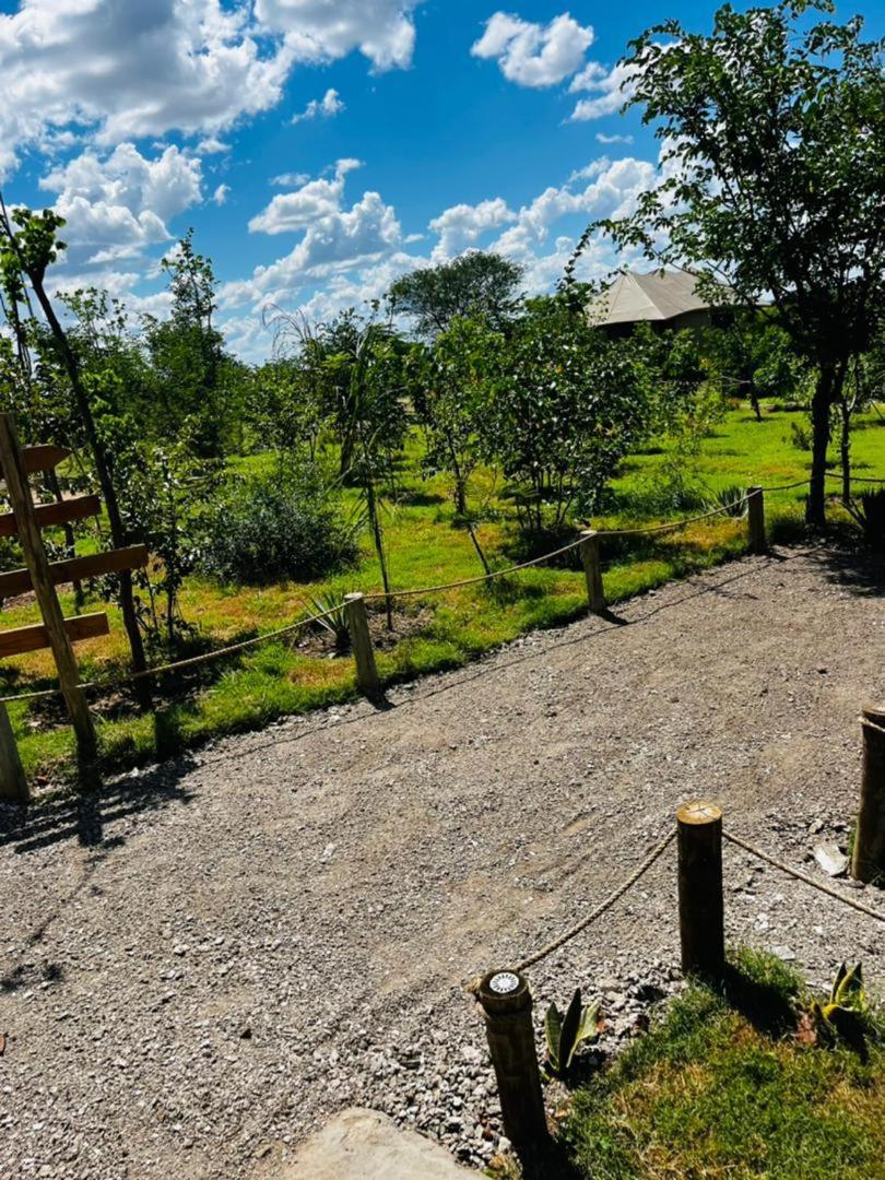 Xhabe Safari Lodge Chobe Muchenje Εξωτερικό φωτογραφία