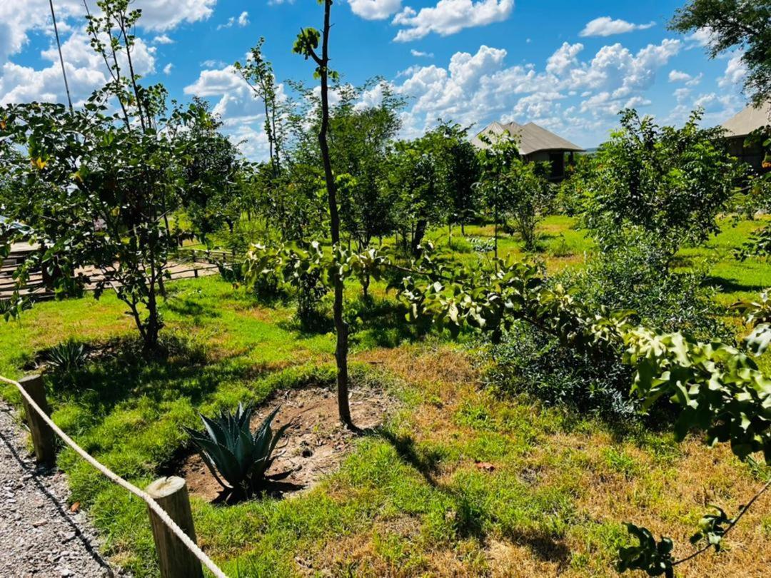 Xhabe Safari Lodge Chobe Muchenje Εξωτερικό φωτογραφία